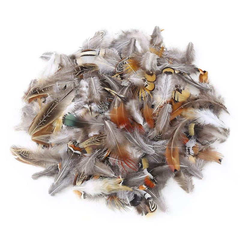Ballinger 360pcs 12 Styled Natural Feathers Assorted Mixed Feathers for Jewelry and Dream Catcher Crafts - Image 3